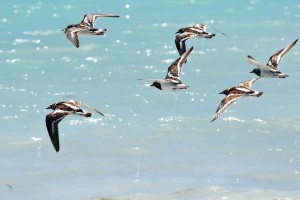 День 11. Свободное время, отдых. Лицензия CC0 Creative Commons, автор alcangel144