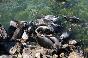 День 4. Ушканьи острова - Чувыркуйский залив. Бурятия