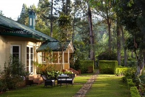 День 2. Ceylon Tea Trails.