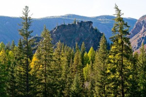 День 3. АЛТАЙСКИЕ РЕЖИССЕРЫ. Лицензия Pixabay License, автор stafichukanatoly