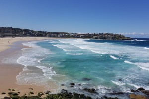 День 2. Знакомство с деловой столицей Австралии, круиз по Сиднейской бухте, легендарный пляж Бондай. Лицензия CC0 Creative Commons, автор Gbates94