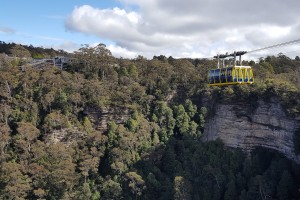 День 3. Национальный парк Голубые горы и коллекция уникальных животных Австралии. Лицензия CC0 Creative Commons, автор ralfskysegel