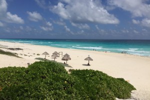 День 8. Свободное время, отдых. Лицензия CC0 Creative Commons, автор viniciuskern