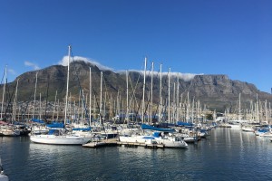 День 3. Экскурсия на Мыс Доброй Надежды. Лицензия CC0 Creative Commons, автор Sreeraj29