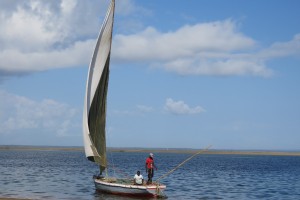 День 11. Окончание программы. Лицензия CC0 Creative Commons, автор Robynt