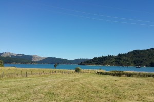 День 15. Национальный парк Озера Нельсона, виноградные долины Мальборо и круиз на Северный остров / 285 км. Лицензия CC0 Creative Commons, автор KAZCAU