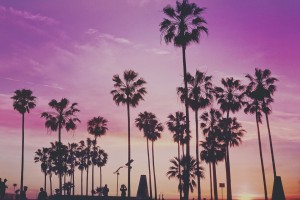 День 3. Свободные дни, дополнительные экскурсии. Лицензия CC0 Creative Commons, автор PublicCo